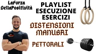 DISTENSIONI MANUBRI PANCA PIANA  DUMBBELS PRESS  PETTORALI [upl. by Petronia]