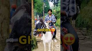 Horse Riding😍😍 shorts vlog minivlog horse riding [upl. by Fai]