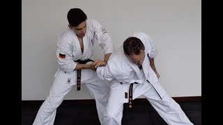 Lesson 6 Kyokushin Karate Kata Bunkai Self defence and Physical Strength Partner Training [upl. by Triny]