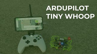 Autonomous Ardupilot Tiny Whoop [upl. by Einnaj361]