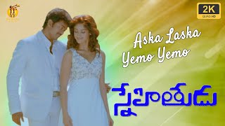 Shakti Songs  Surro Surra Video Song  Jr NTR Ileana  Sri Balaji Video [upl. by Karena560]