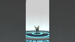 Pokémon GO•Pokédex 197 Umbreon pokemon pokemongo pokedex [upl. by Ahserb]