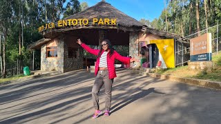 Ethiopia Travel Vlog  Entoto Park Full Tour [upl. by Winnah]