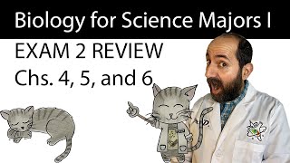 BIOL 1406 Exam 2 Review  Chapters 4 5 and 6 [upl. by Malloy639]