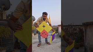 Patangbazi Meerut kite kiteflying kitefestival meerut india vlog meerutvlog shortvideo [upl. by Namas]