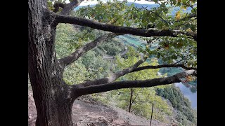 Wandern in der CalmontRegion an der Mosel [upl. by Kally]