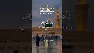 SURAH SAAD qurantranslation quranurdutranslation [upl. by Akinod]