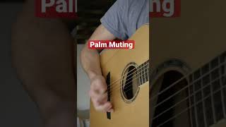 Palm Muting  Guitar Lesson guitarlesson learnguitar guitarlessons beginnerguitar [upl. by Muryh]