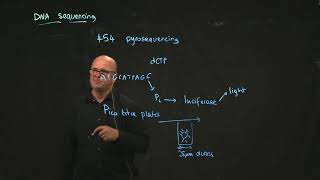 454 pyrosequencing [upl. by Kellina690]