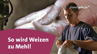 Wie wird aus Weizen Mehl  Planet Schule [upl. by Htebzil814]