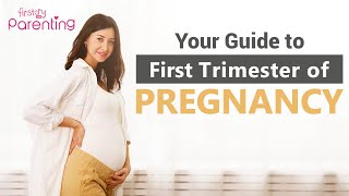 First Trimester of Pregnancy – What to Expect [upl. by Analra878]