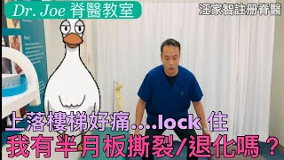 上落樓梯膝好痛…lock 住 我有半月板撕裂或退化嗎 （三個自我測試的方法 [upl. by Arot]