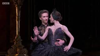 Swan Lake  Act 3  Black Swan Pas de Deux  Marianela Nunez amp Vadim Muntagirov [upl. by Mok]