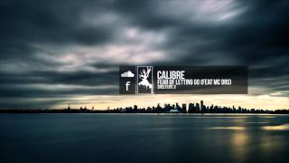 Calibre  Fear Of Letting Go feat MC DRS [upl. by Llerdnad430]