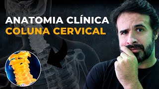 ANATOMIA CLÍNICA COLUNA CERVICAL NUNCA FOI TÃO FÁCIL [upl. by Sascha627]