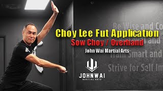 Choy Lee Fut Applications Sow ChoyOverhand Hook [upl. by Mik]