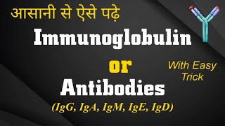 Immunoglobulin in hindi  Structure amp Function  IgG IgA IgM IgE IgD  5types of antibodies lokesh [upl. by Ramsay]