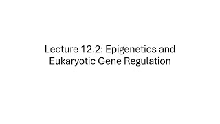 BIOL 001 Lecture 122 Epigenetics and Eukaryotic Gene Regulation [upl. by Eudocia]