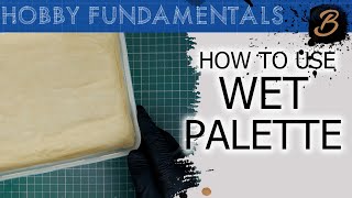 HOW TO MAKE AND USE A WET PALETTE A StepByStep Guide [upl. by Cunningham]