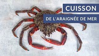 Comment cuire de laraignée de mer  🦀  Tuto Poiscaille [upl. by Egief]