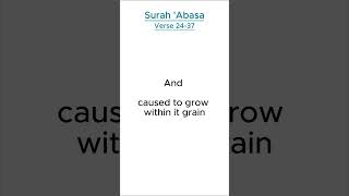 Surah Abasa Verse 2437 English Translation  quran english islamic surah shorts islam [upl. by Bolitho]