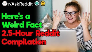 Weirdest Facts in the World 25 Hours Reddit Compilation [upl. by Flanagan]