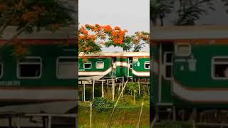 জীবন নামের রেলগাড়িটা ।viral bangladesh shortvideos Bangladesh railway railway প্রকৃতি [upl. by Nolyaw]