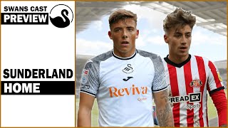 Swansea VS Sunderland Opposition Preview [upl. by Greenwell319]