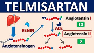 Telmisartan  Mechanism side effects precautions amp uses [upl. by Ahseniuq]