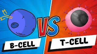 B Cells vs T Cells  B Lymphocytes vs T Lymphocytes  Adaptive Immunity  Mechanism [upl. by Ahsien786]