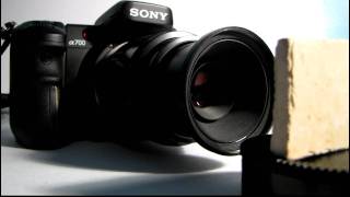 Minolta Sony Alpha 50mm f28 macro review and test [upl. by Sioled]