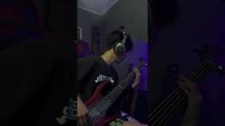 Cerebral Bore  Flesh Reflects the Madness  Fretless Bass Cover [upl. by Brynne]