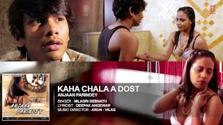 Kahan Chala A Dost Full Audio Song  Anjaan Parindey  TSeries [upl. by Lien]