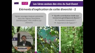 Biodiversité variétale des vignobles du SudOuest par Olivier Yobrégat IFV SudOuest [upl. by Saidee]