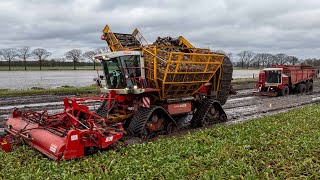 Nothing can stop this Beet Beast  Extreme wet harvest  Agrifac on tracks  W Berkers  Deurne [upl. by Eikkin]