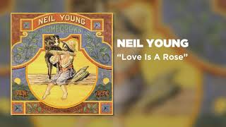 Neil Young  Love Is A Rose Official Audio [upl. by Slavic469]