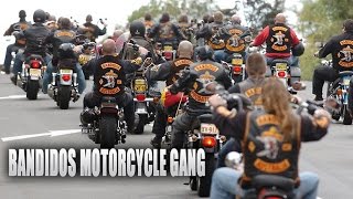 Bandidos Gang Documentary  Motorcycle Madness [upl. by Hoppe365]