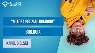 Mitoza  podział komórki Załappl [upl. by Aksel]