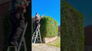 grass grasscuts grasstrims cramlington gardenwork gardening weeding weeds gardenmaintenance [upl. by Massiw534]