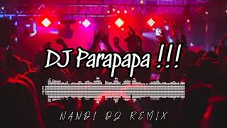 DJ Parapapa   NVNDI DJ Remix [upl. by Hamner]