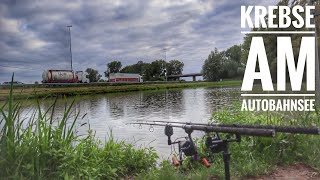 Krebse am Autobahnsee  Neues Gewässer neue Herausforderung  Karpfen Ultras Videotagebuch 99 [upl. by Hollyanne185]