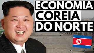 A Economia da Coreia do Norte Um Grande Desastre Econômico [upl. by Batholomew]