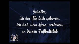 Kurvengesänge Schalke ich bin für dich geboren [upl. by Toney]