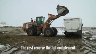 Canadian feedlot Cattleland [upl. by Peltier]