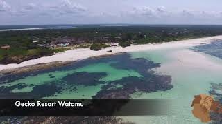 Gecko Resort In Watamu Is Located On The Beautiful Garoda Beach Inside The Watamu Marine Park [upl. by Ttergram]