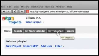 Timesheet in Zoho Projects [upl. by Akilaz]