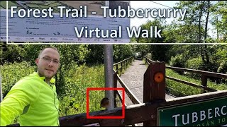 Virtual Walk Virtual Walking Videos Treadmill Workout Scenery Forest Trail  Tubbercurry  Ireland [upl. by Audette]