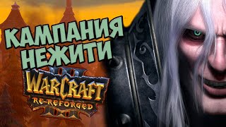 О чём рассказывает Warcraft 3 ReReforged  Кампания Нежити [upl. by Meletius]