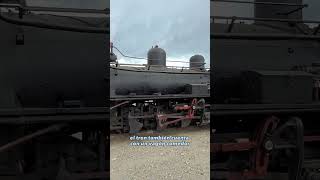 La Trochita  Guía para visitar el tren más famoso de Argentina esquel chubut patagonia [upl. by Nnaesor]