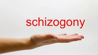 How to Pronounce schizogony  American English [upl. by Cleland]